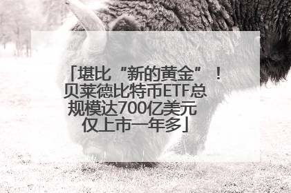 堪比“新的黄金”！贝莱德比特币ETF总规模达700亿美元 仅上市一年多